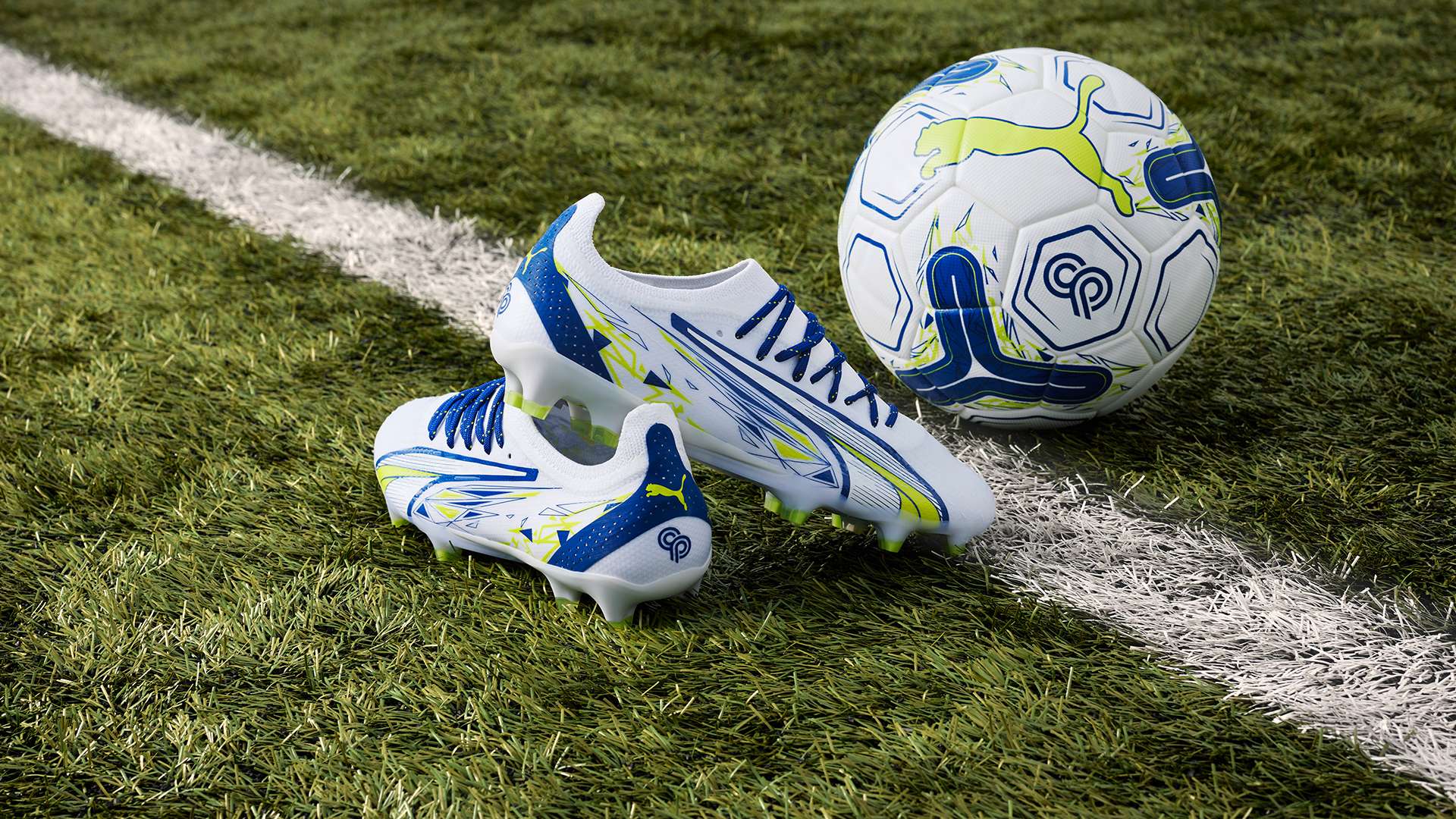 他们在球场 他们在球场