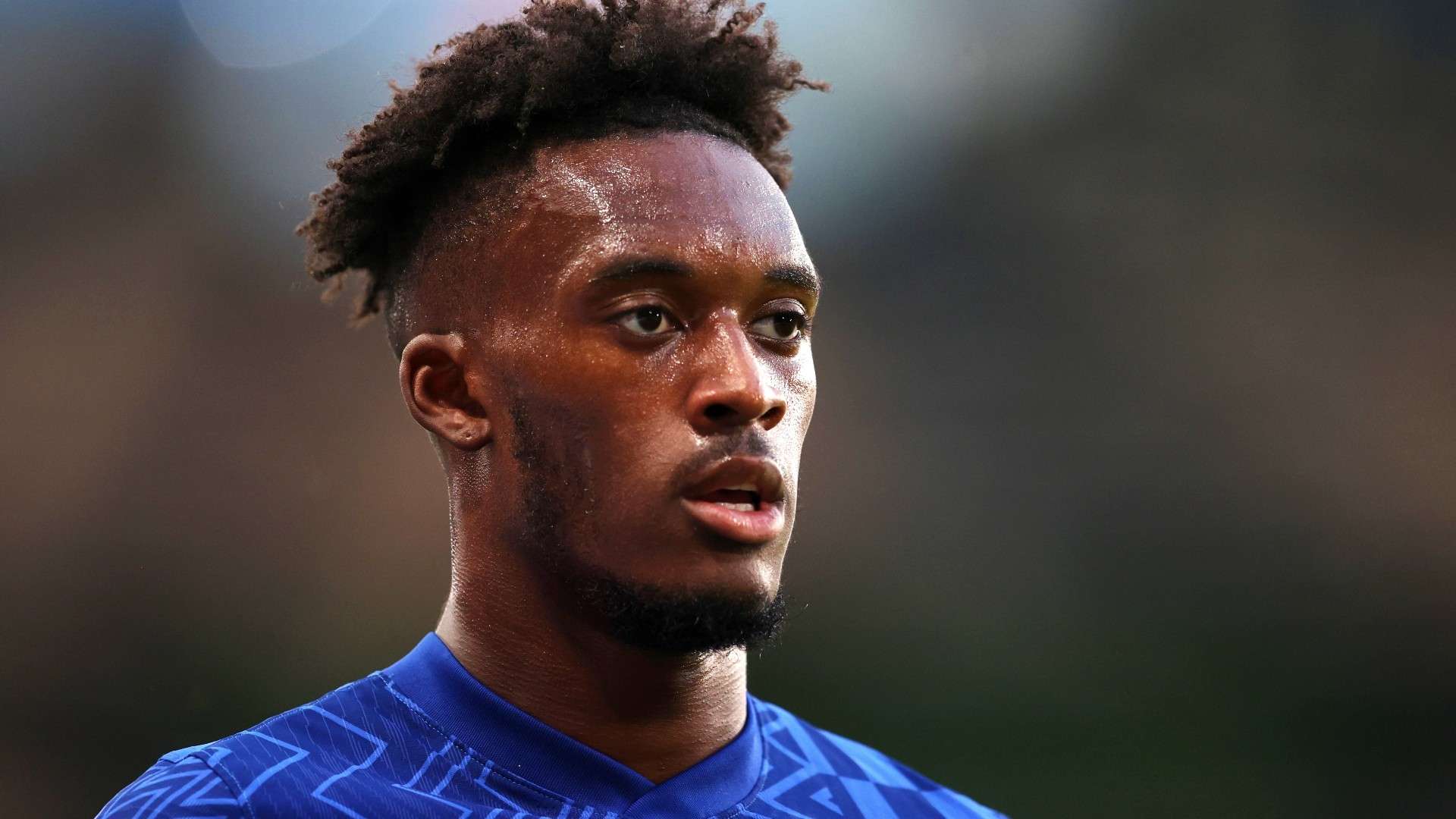 依靠稳健的 依靠稳健的